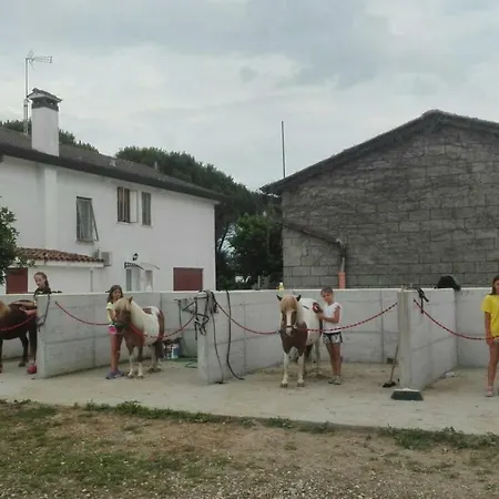 Papeete Prince Бибионе